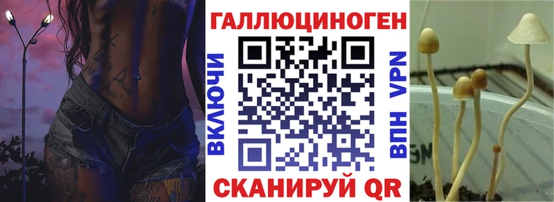 даркнет сайт  Белгород  Псилоцибиновые грибы мицелий 